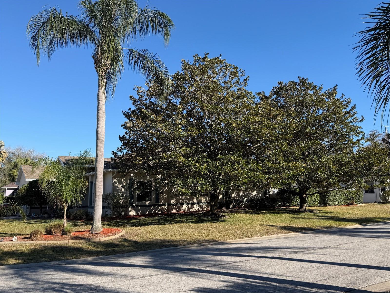 2424 DEKAN LN, LAND O LAKES, FL — photo 58
