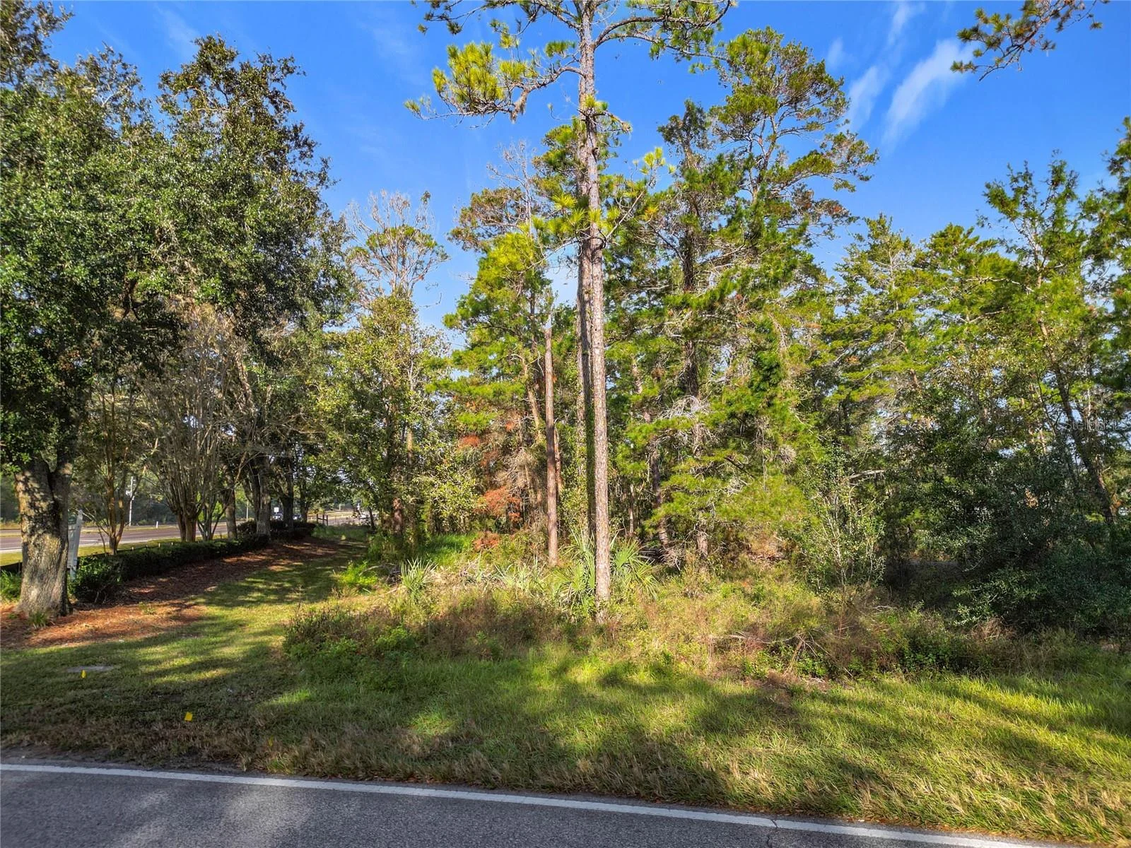 1 OAK VILLAGE BLVD, HOMOSASSA, FL — photo 7