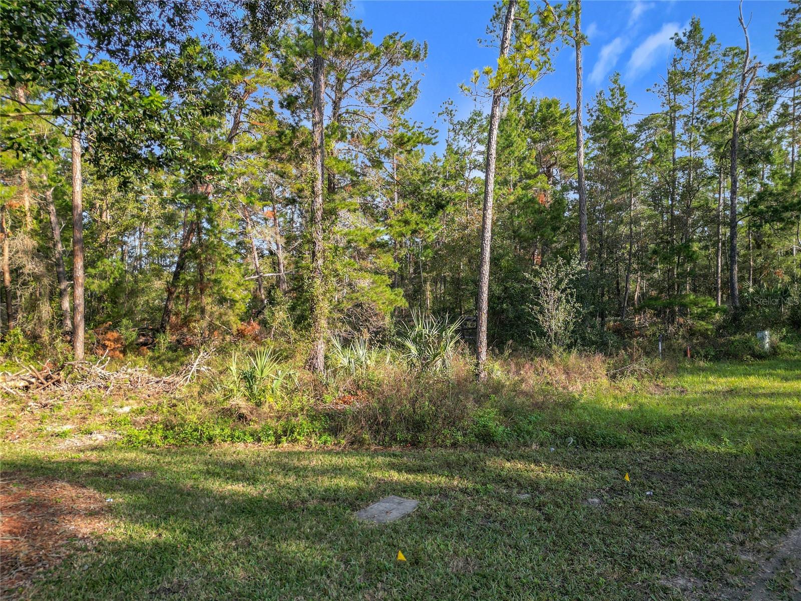 1 OAK VILLAGE BLVD, HOMOSASSA, FL — photo 9