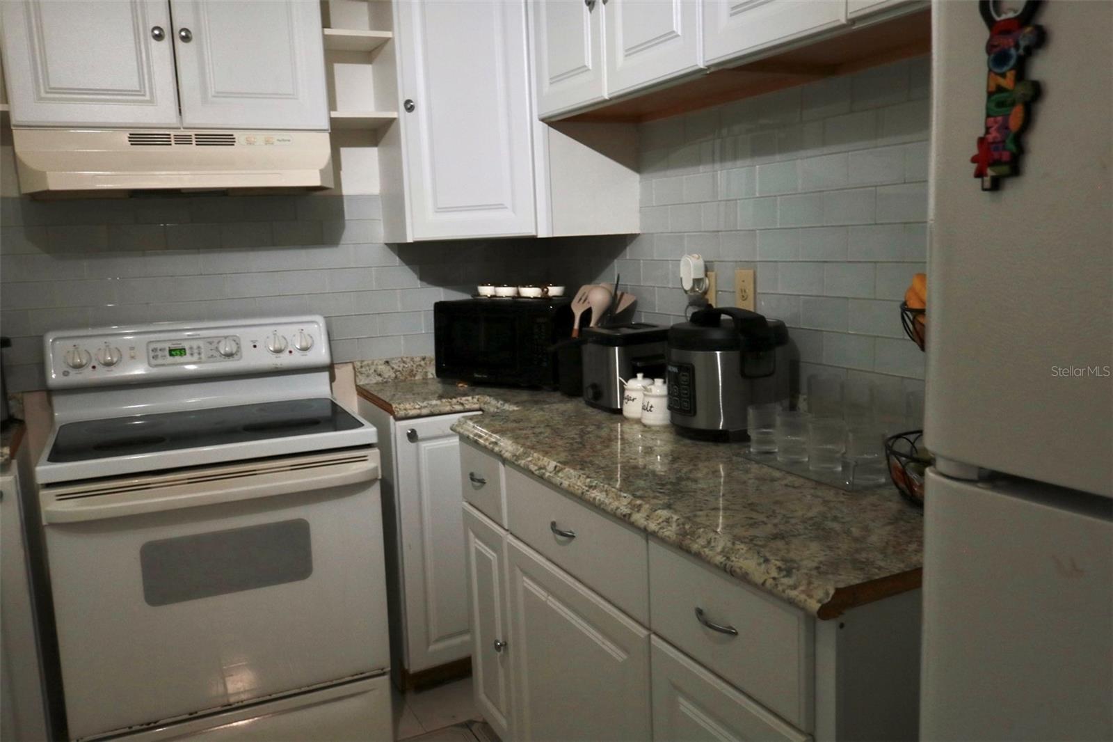 3125 36TH ST N #103, ST PETERSBURG, FL — photo 11