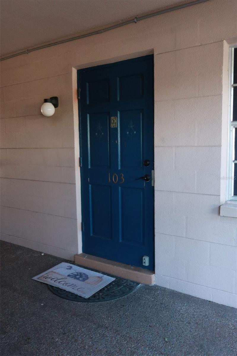 3125 36TH ST N #103, ST PETERSBURG, FL — photo 23