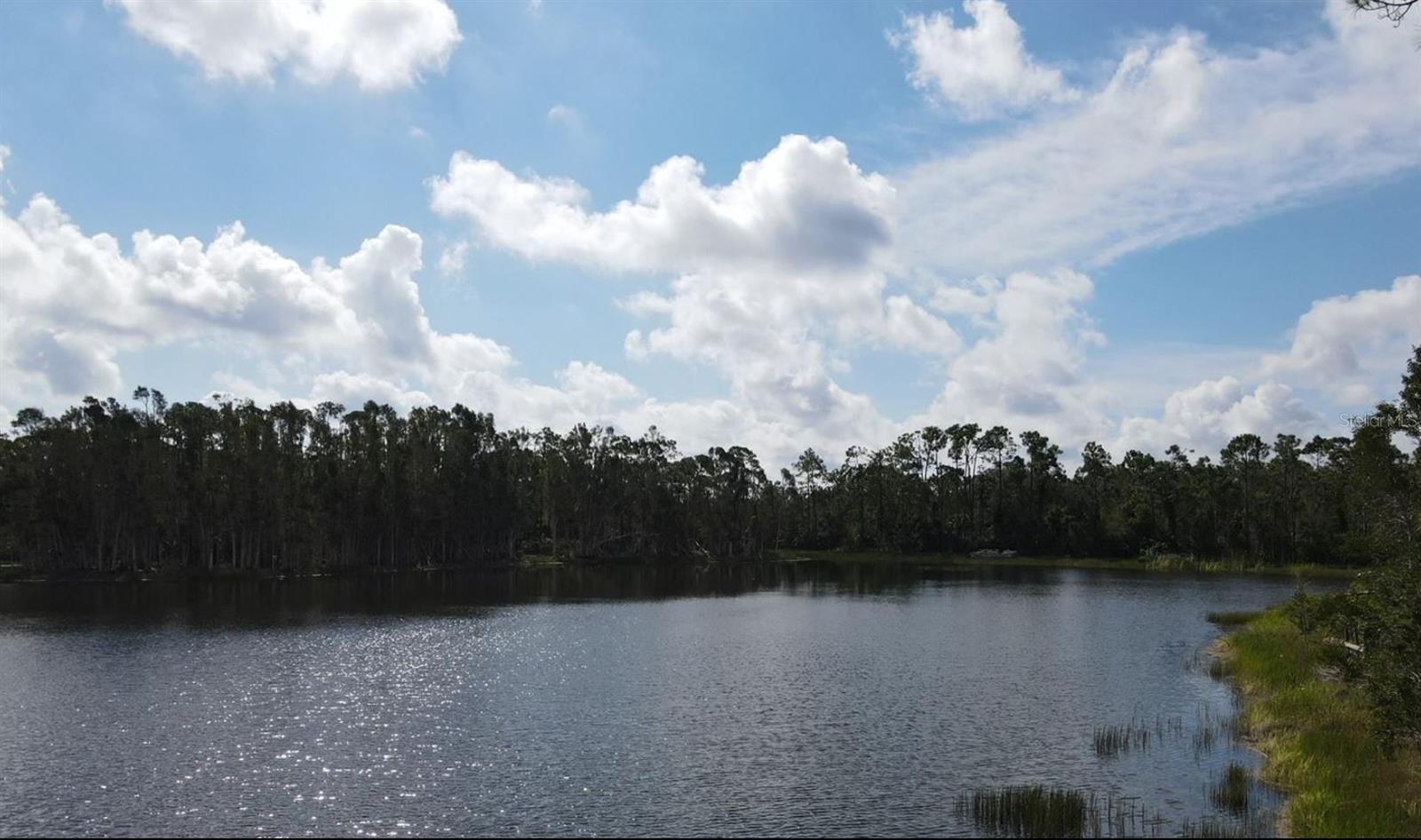 12665 EASHA BLVD, PUNTA GORDA, FL — photo 10