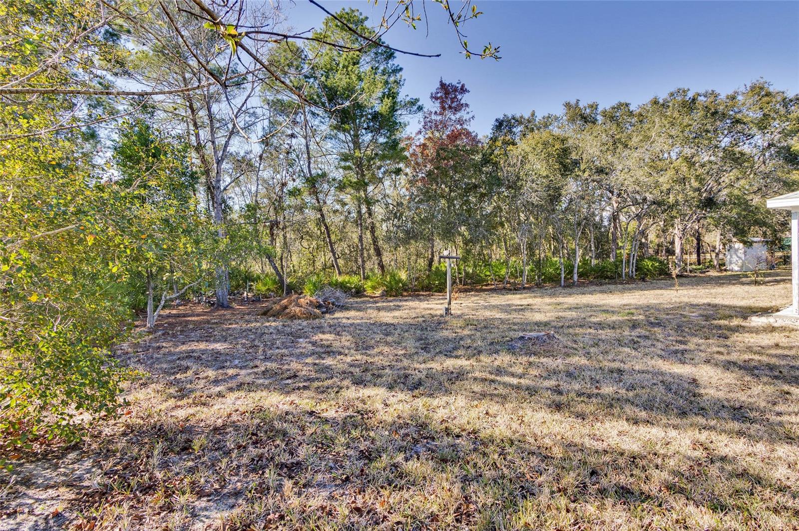 7095 BLACKBIRD AVE, WEEKI WACHEE, FL — photo 38
