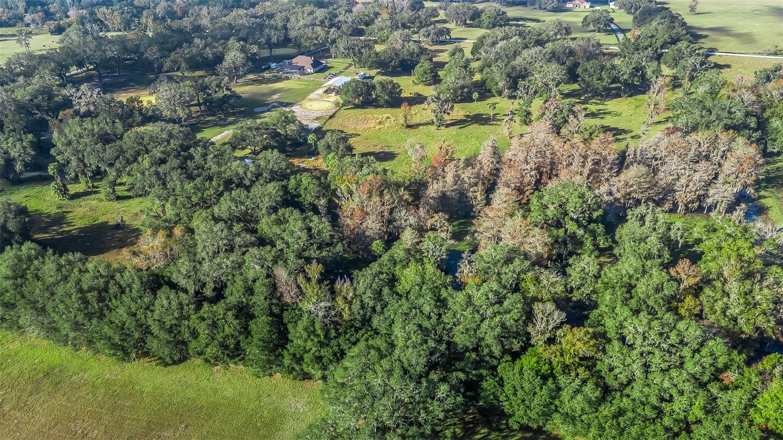 TRACT 2 - CR 221, WILDWOOD, FL — photo 11
