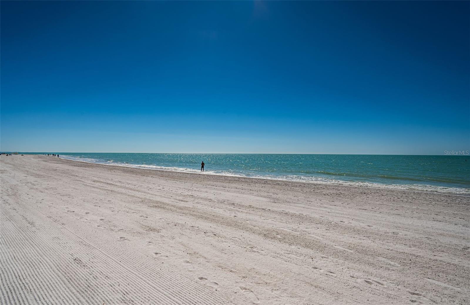 12274 1ST ST W #8, TREASURE ISLAND, FL — photo 59