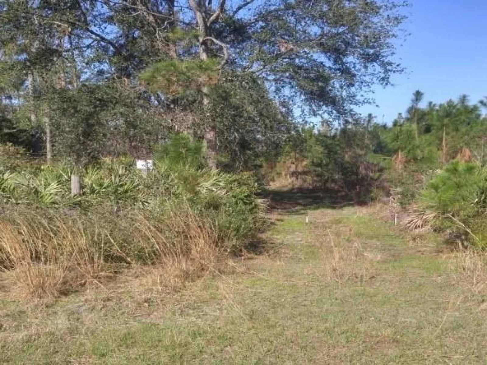 US 1 NORTH, BUNNELL, FL — photo 4