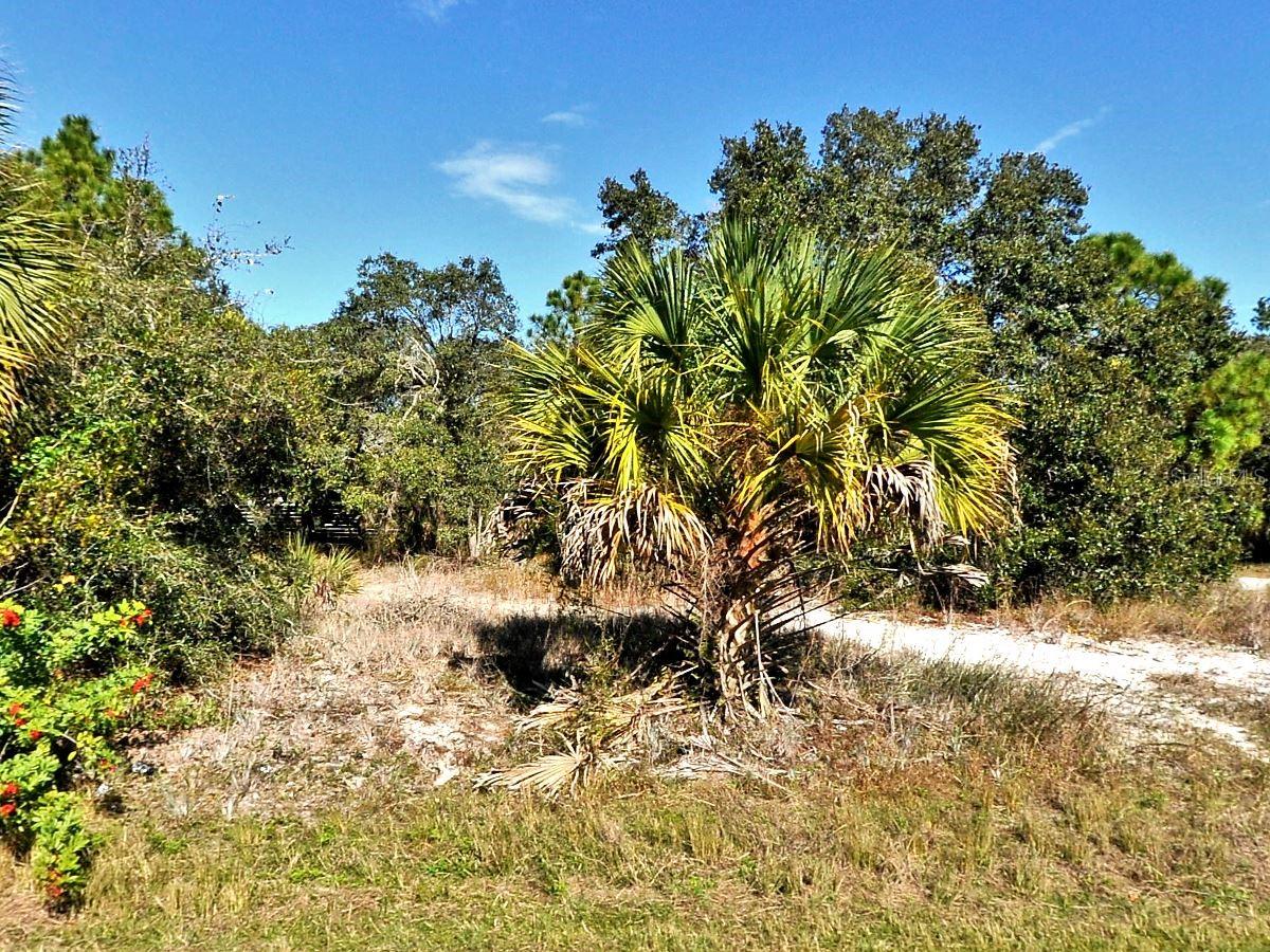GREENTREE AVE, NORTH PORT, FL