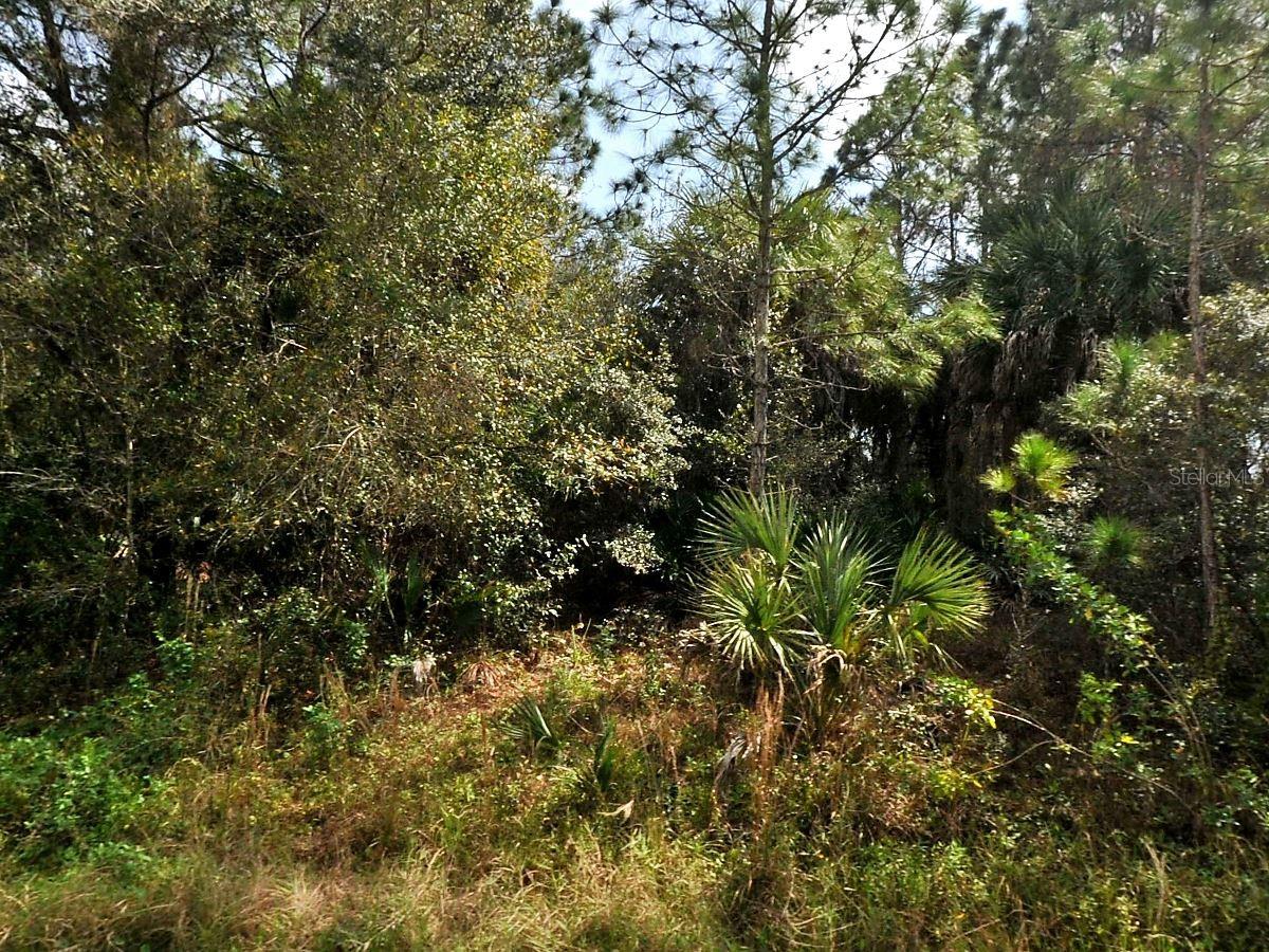 HAMILTON AVE, NORTH PORT, FL