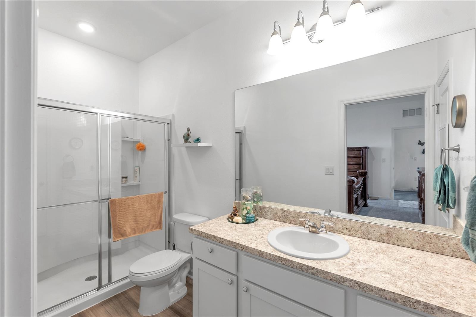 10427 LADYBUG CV, PARRISH, FL — photo 8