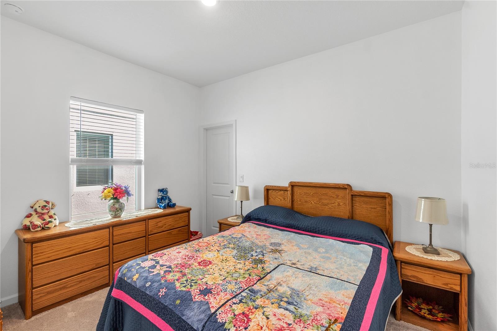 10427 LADYBUG CV, PARRISH, FL — photo 10