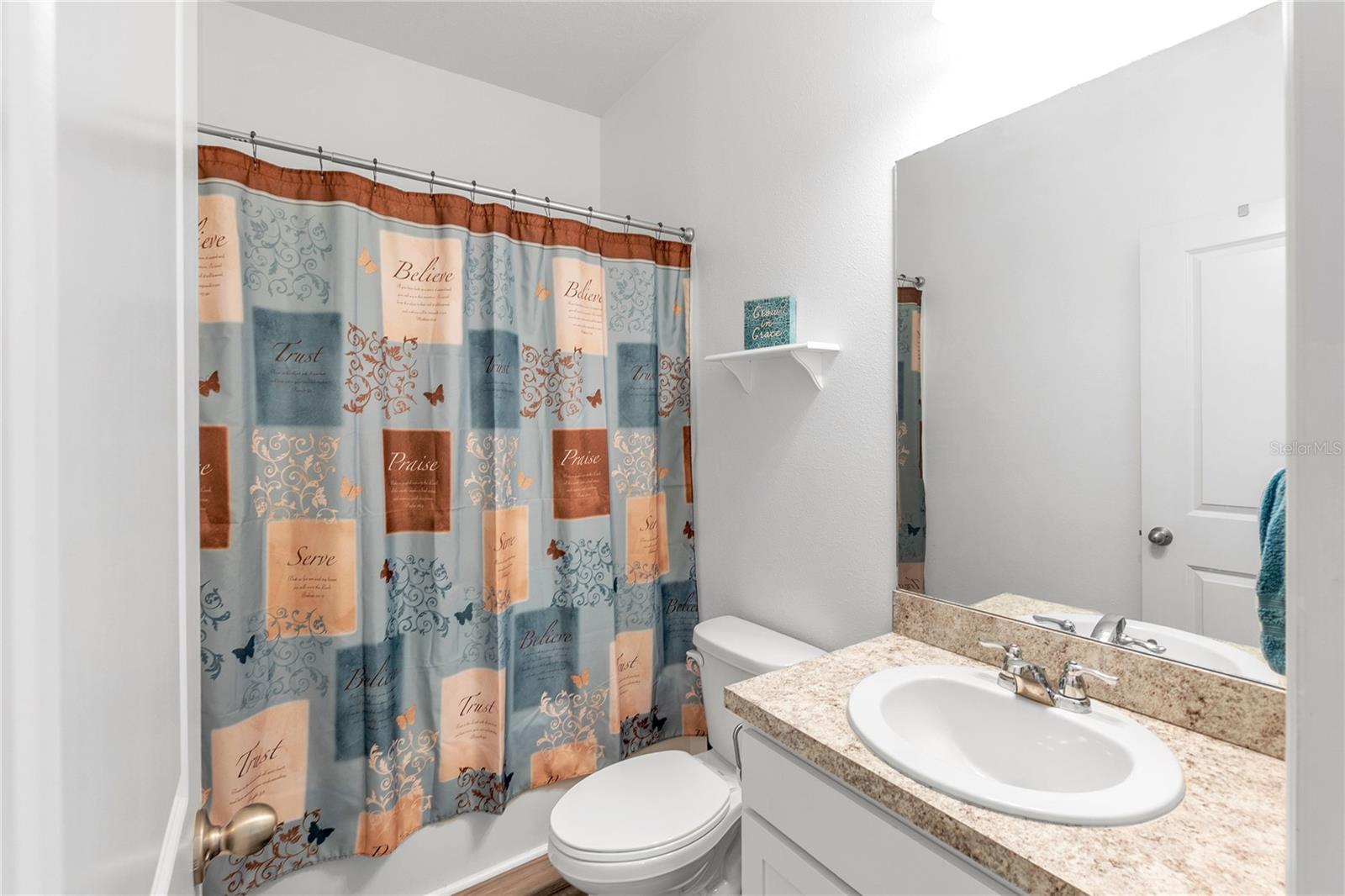 10427 LADYBUG CV, PARRISH, FL — photo 11