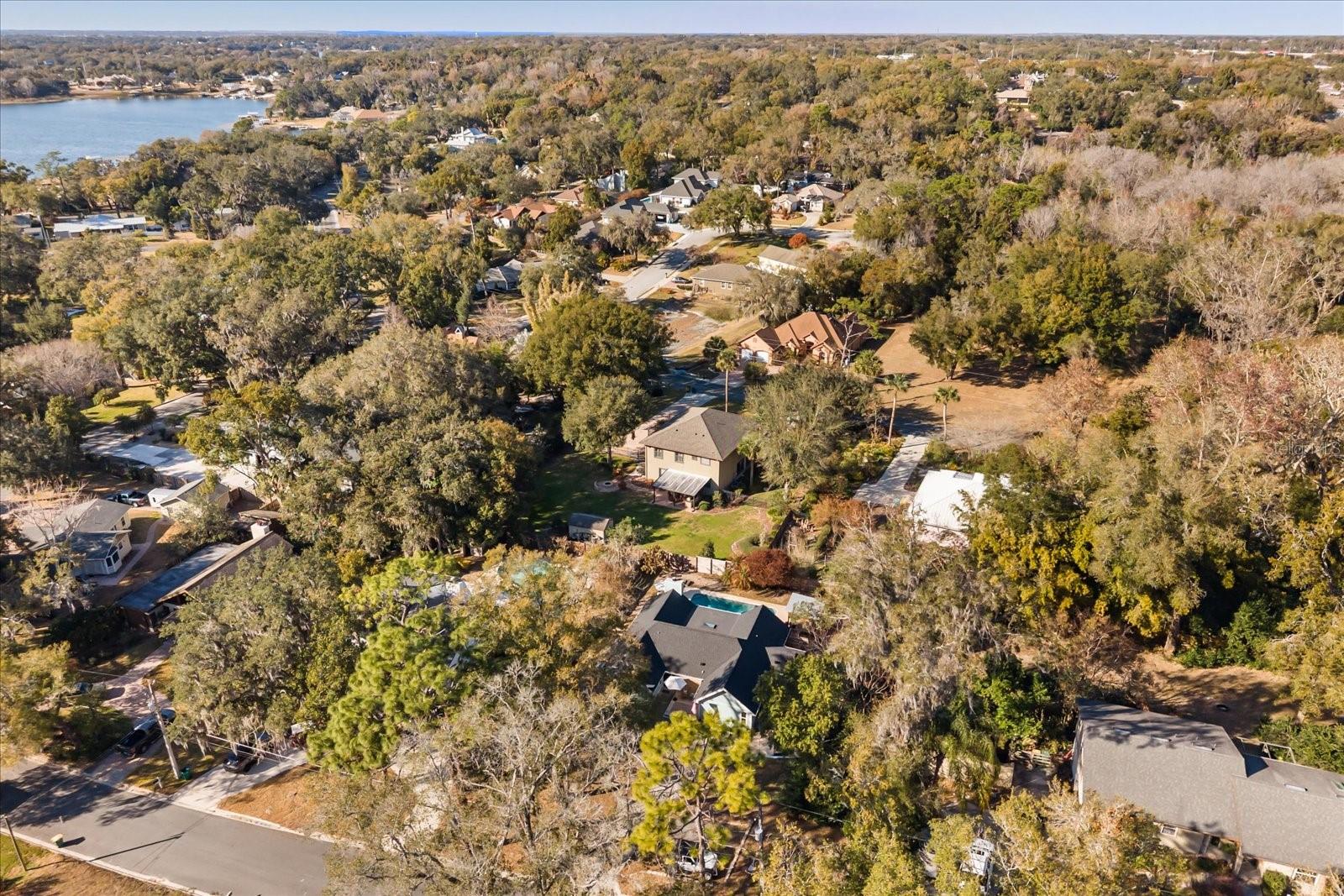 333 FOREST RD, MOUNT DORA, FL — photo 47