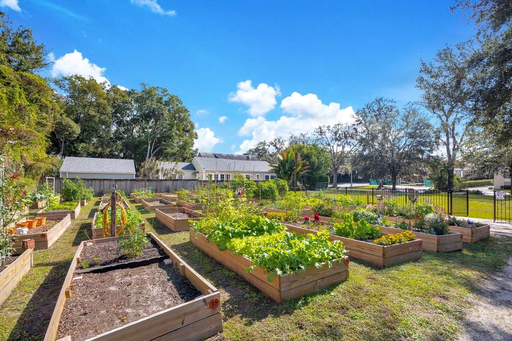 1010 E ROBINSON ST, ORLANDO, FL — photo 25