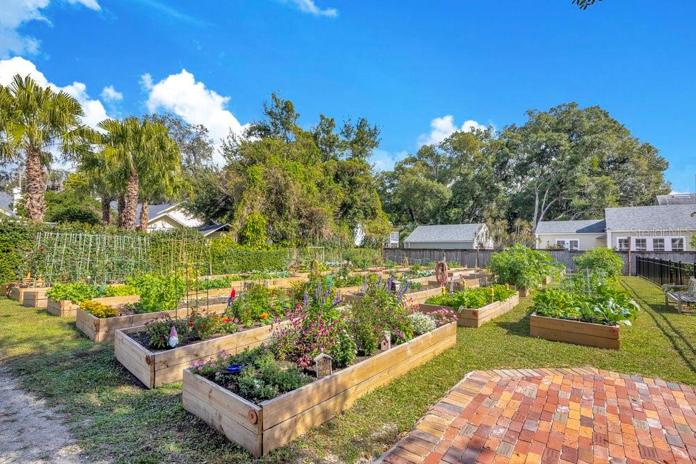 1010 E ROBINSON ST, ORLANDO, FL — photo 26