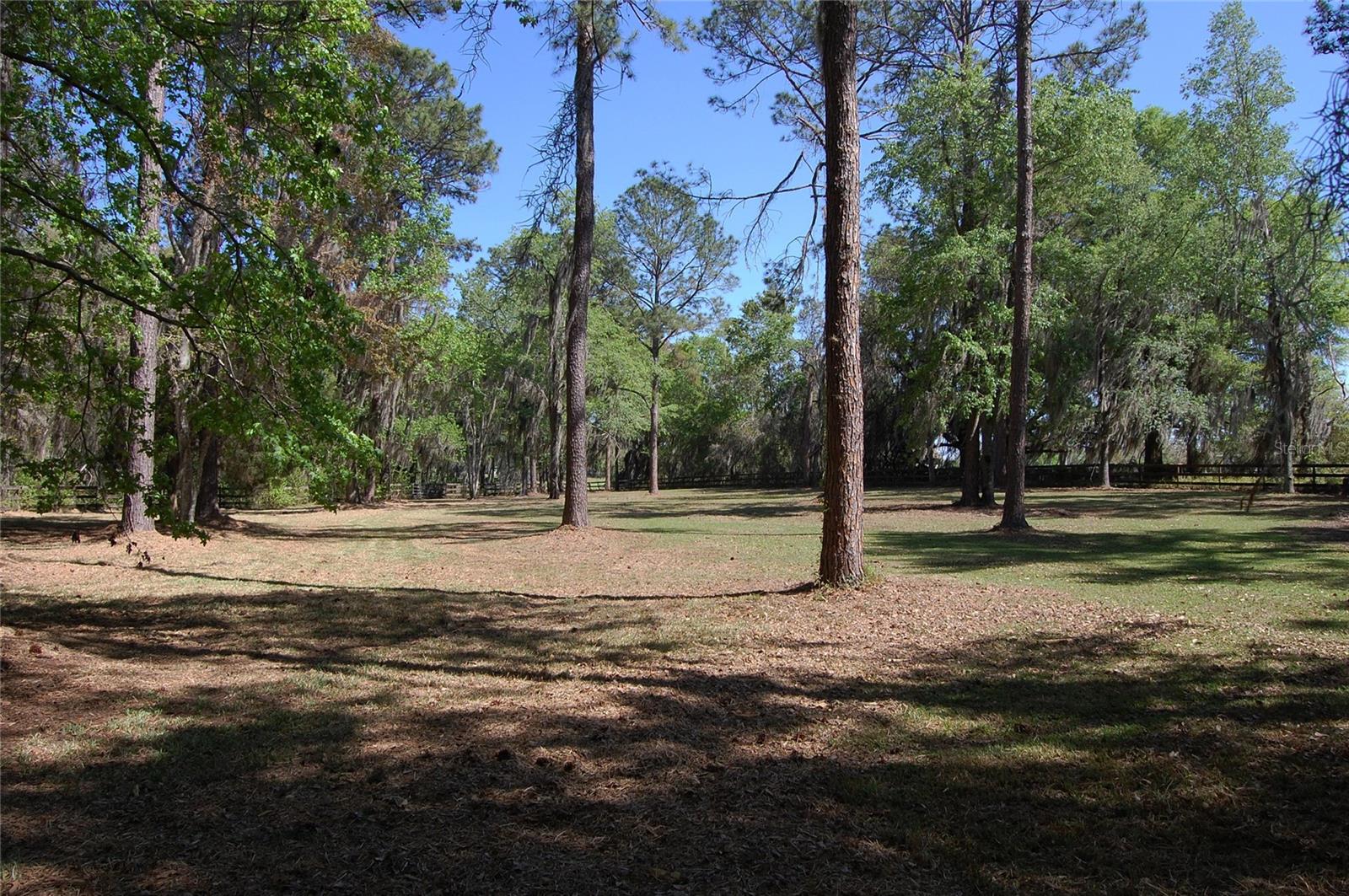 27471 NW 173RD TER, ALACHUA, FL — photo 45