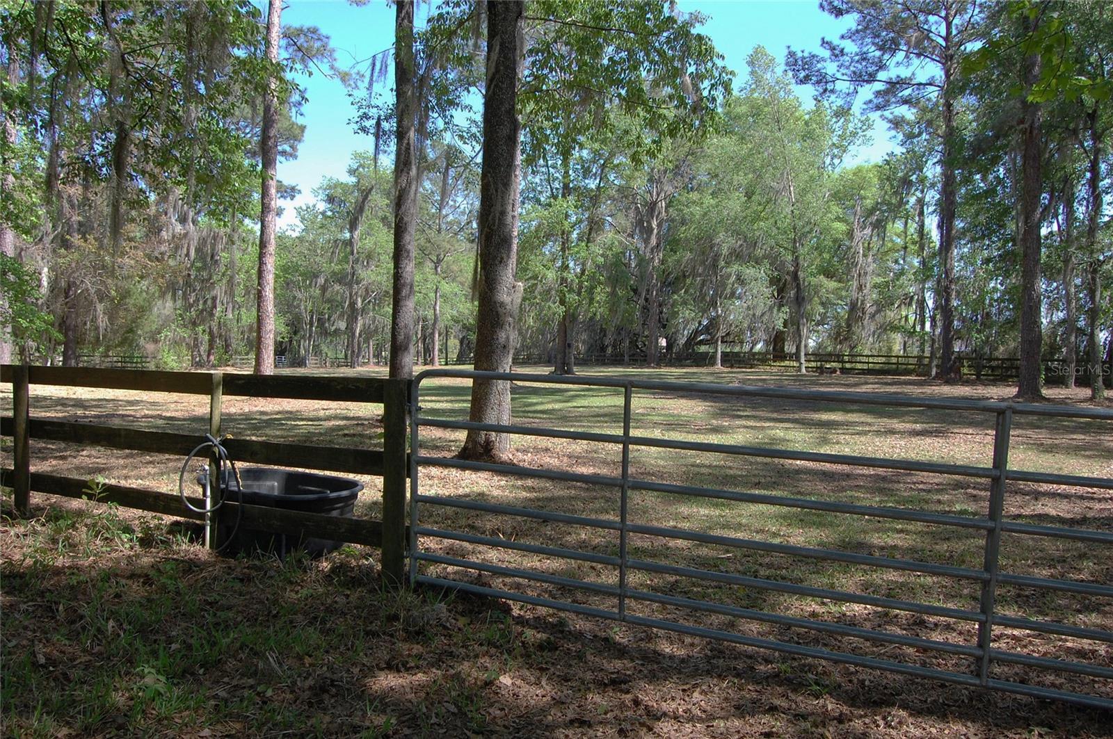27471 NW 173RD TER, ALACHUA, FL — photo 46
