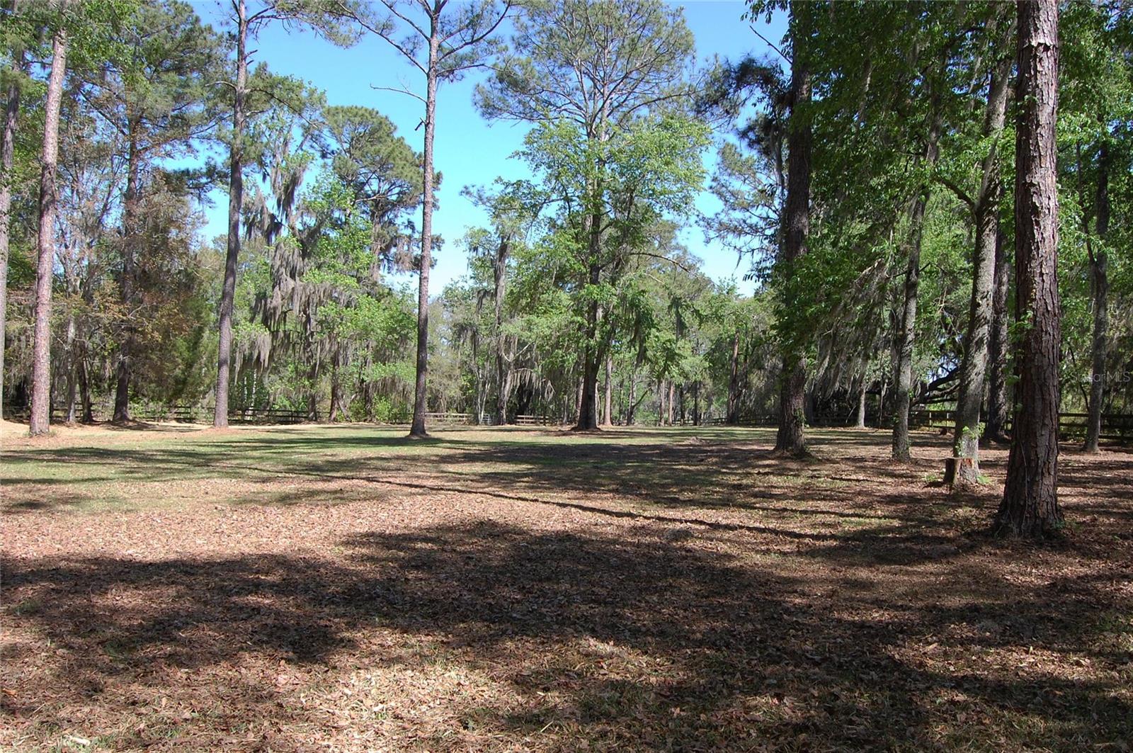 27471 NW 173RD TER, ALACHUA, FL — photo 47