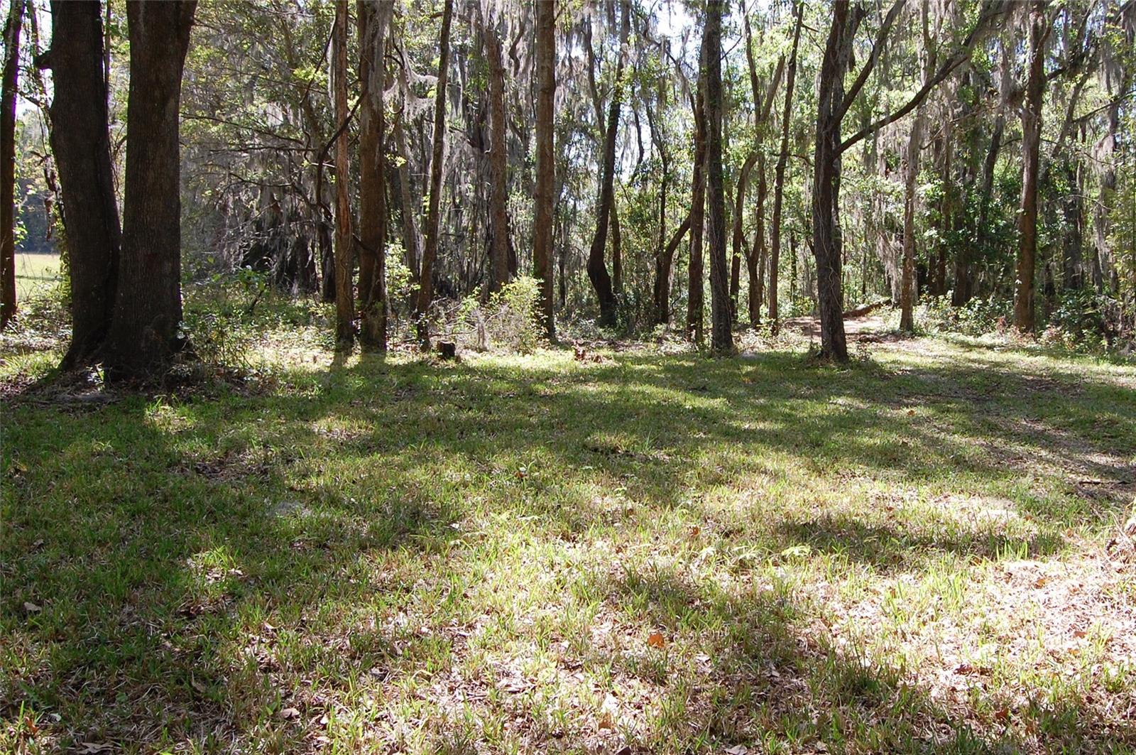 27471 NW 173RD TER, ALACHUA, FL — photo 48