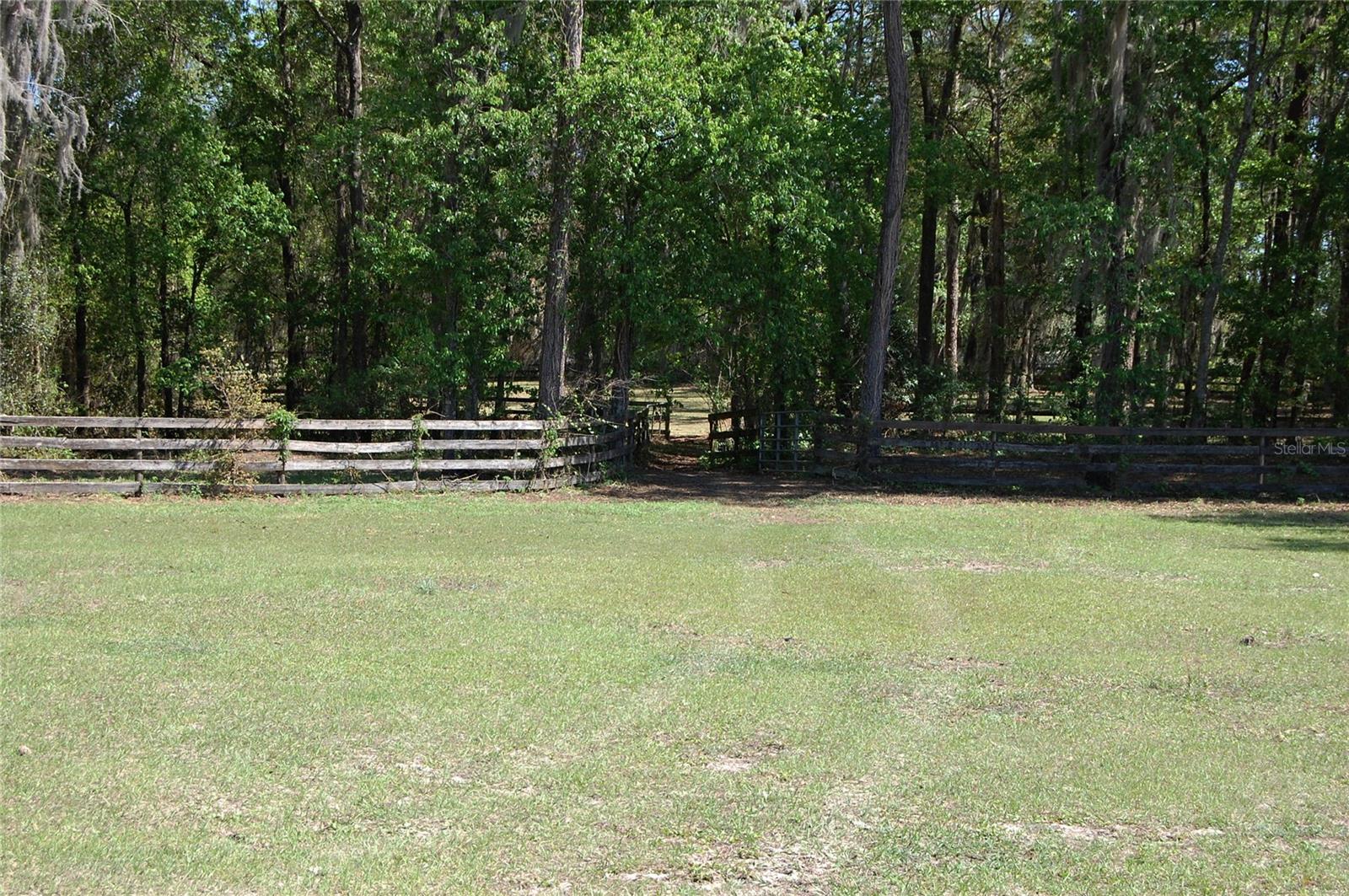 27471 NW 173RD TER, ALACHUA, FL — photo 43