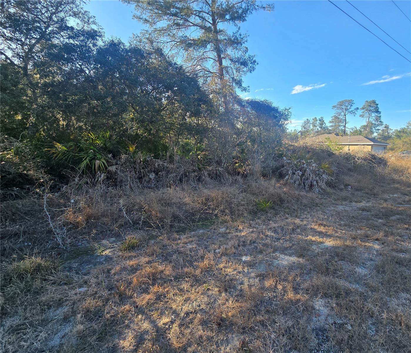 MALAUKA PASS CRSE, OCKLAWAHA, FL — photo 3