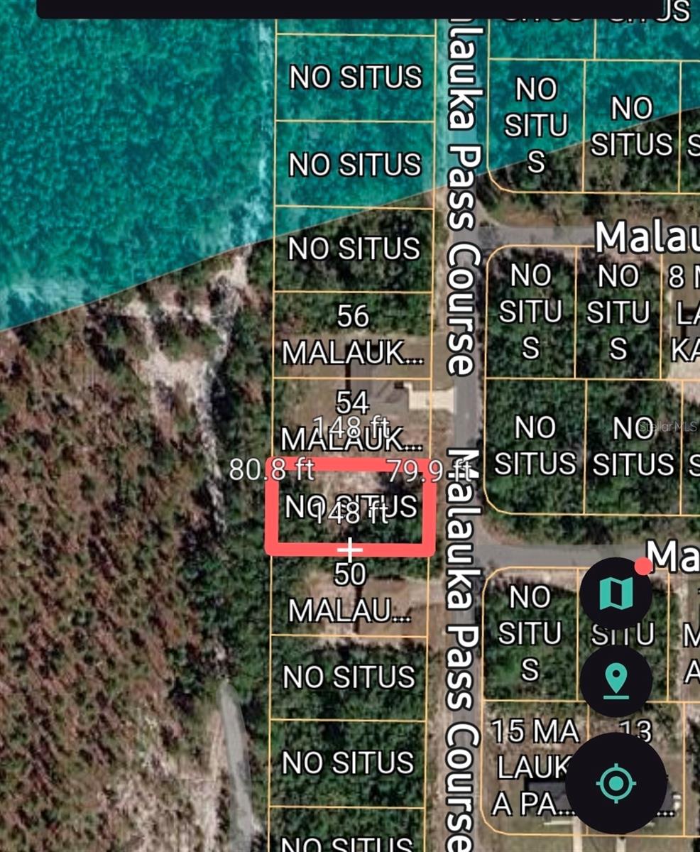 MALAUKA PASS CRSE, OCKLAWAHA, FL — photo 2