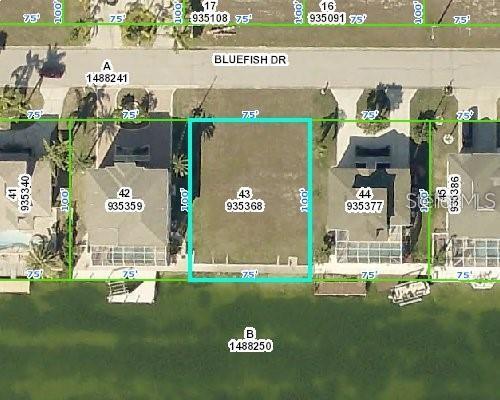 3464 BLUEFISH DR, HERNANDO BEACH, FL — photo 4
