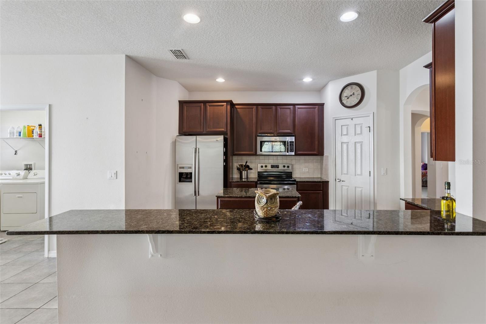 30337 GIDRAN TER, MOUNT DORA, FL — photo 69