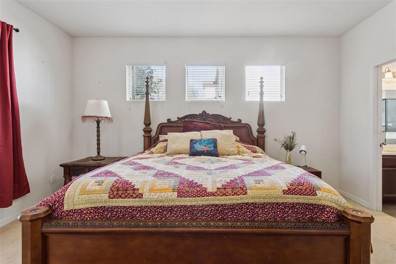 30337 GIDRAN TER, MOUNT DORA, FL — photo 72