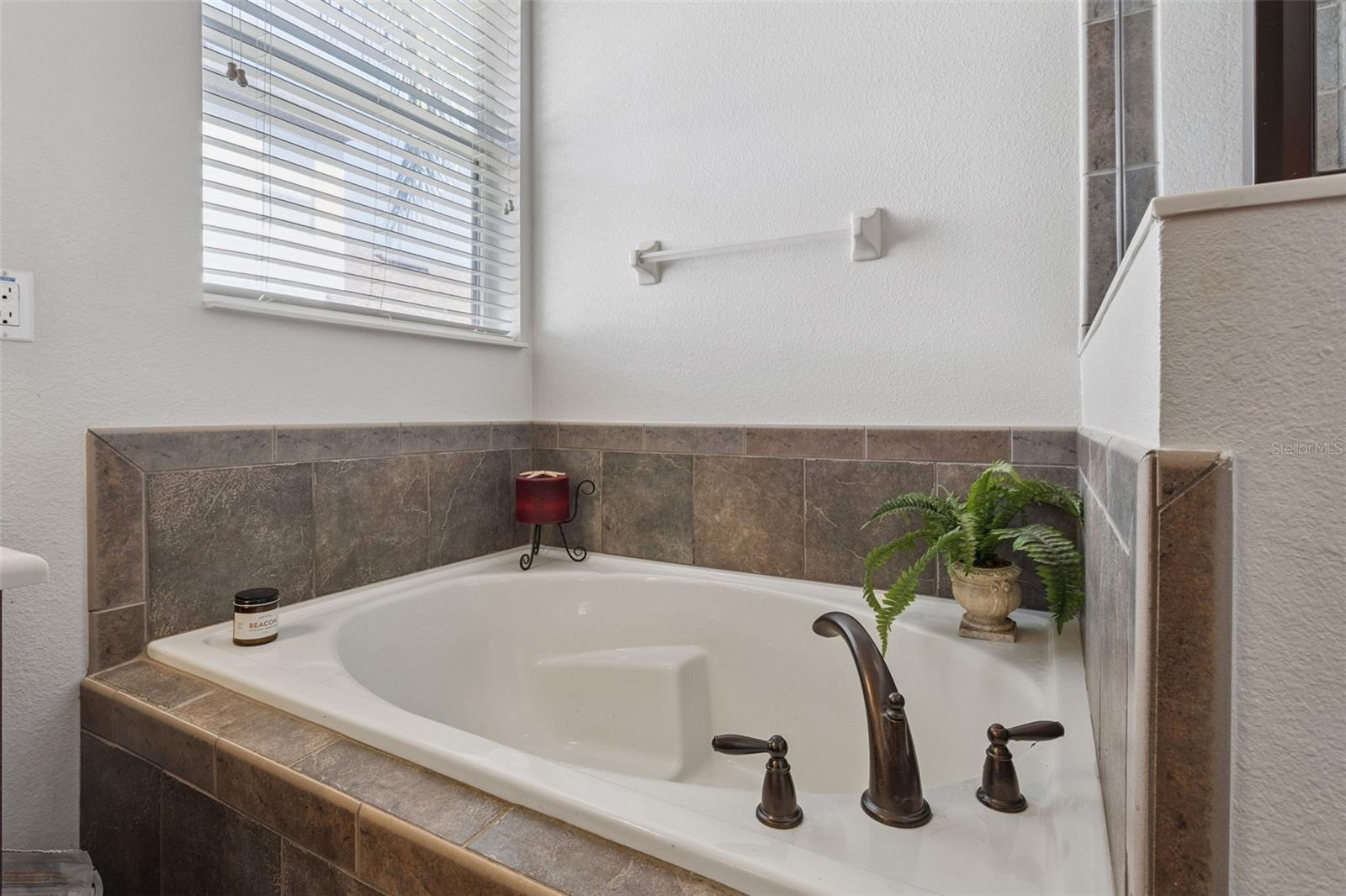30337 GIDRAN TER, MOUNT DORA, FL — photo 73