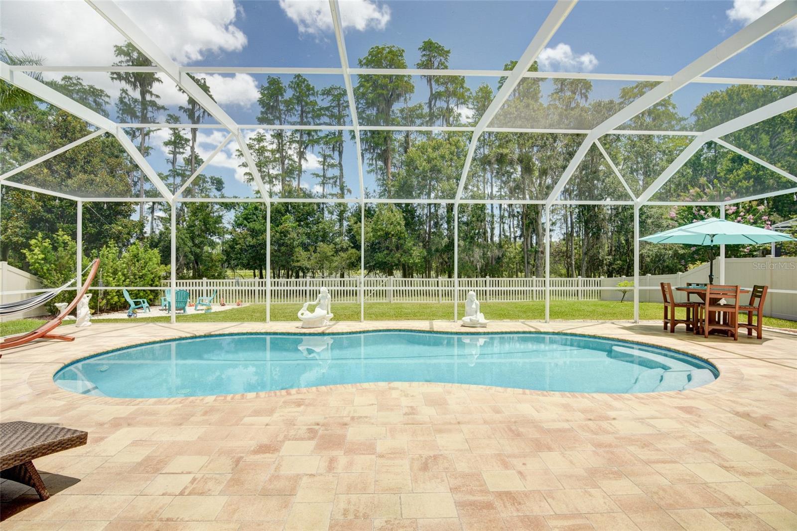 21511 WILDERNESS LAKE BLVD, LAND O LAKES, FL — photo 2