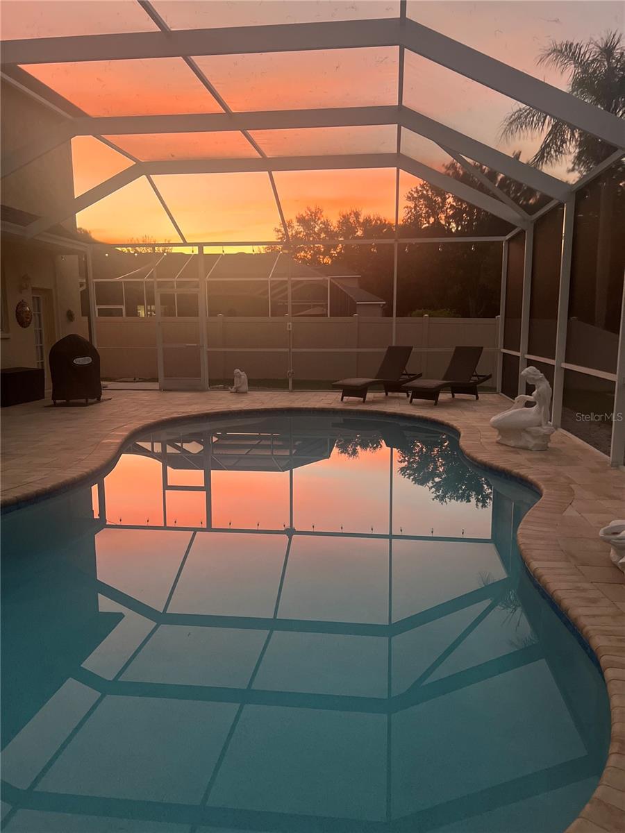 21511 WILDERNESS LAKE BLVD, LAND O LAKES, FL — photo 77