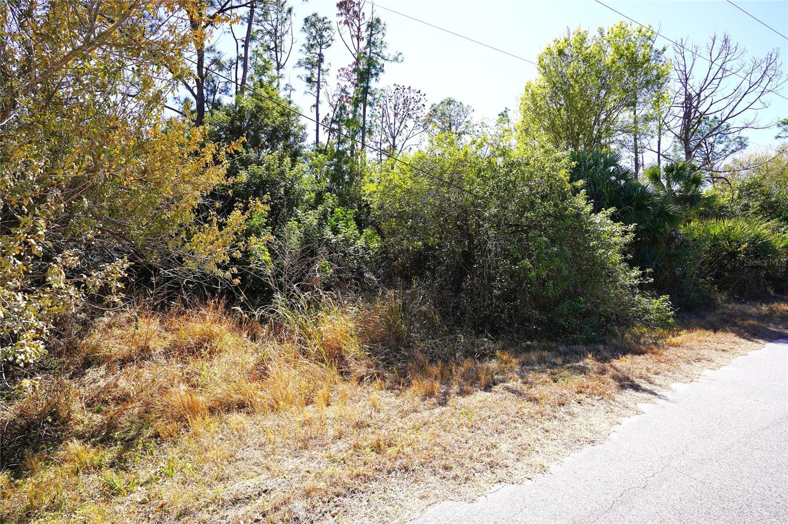 SEDBERRY AVE, NORTH PORT, FL