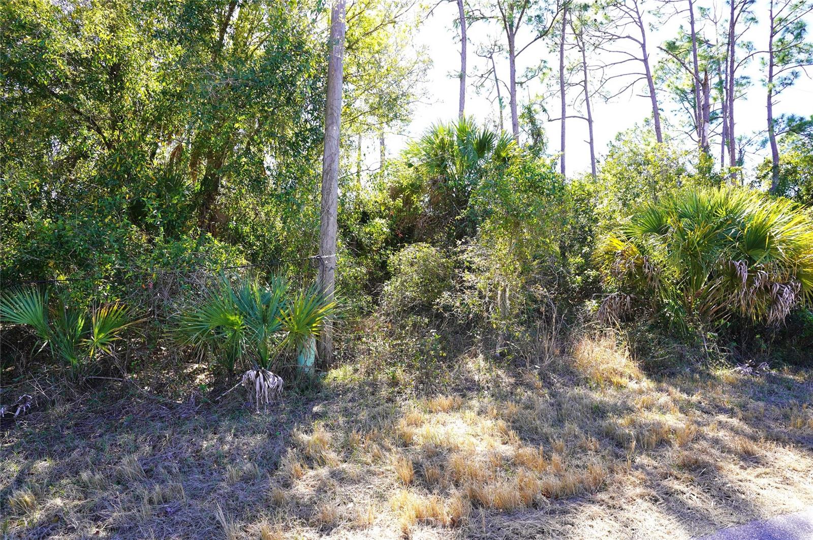 SEDBERRY AVE, NORTH PORT, FL — photo 2