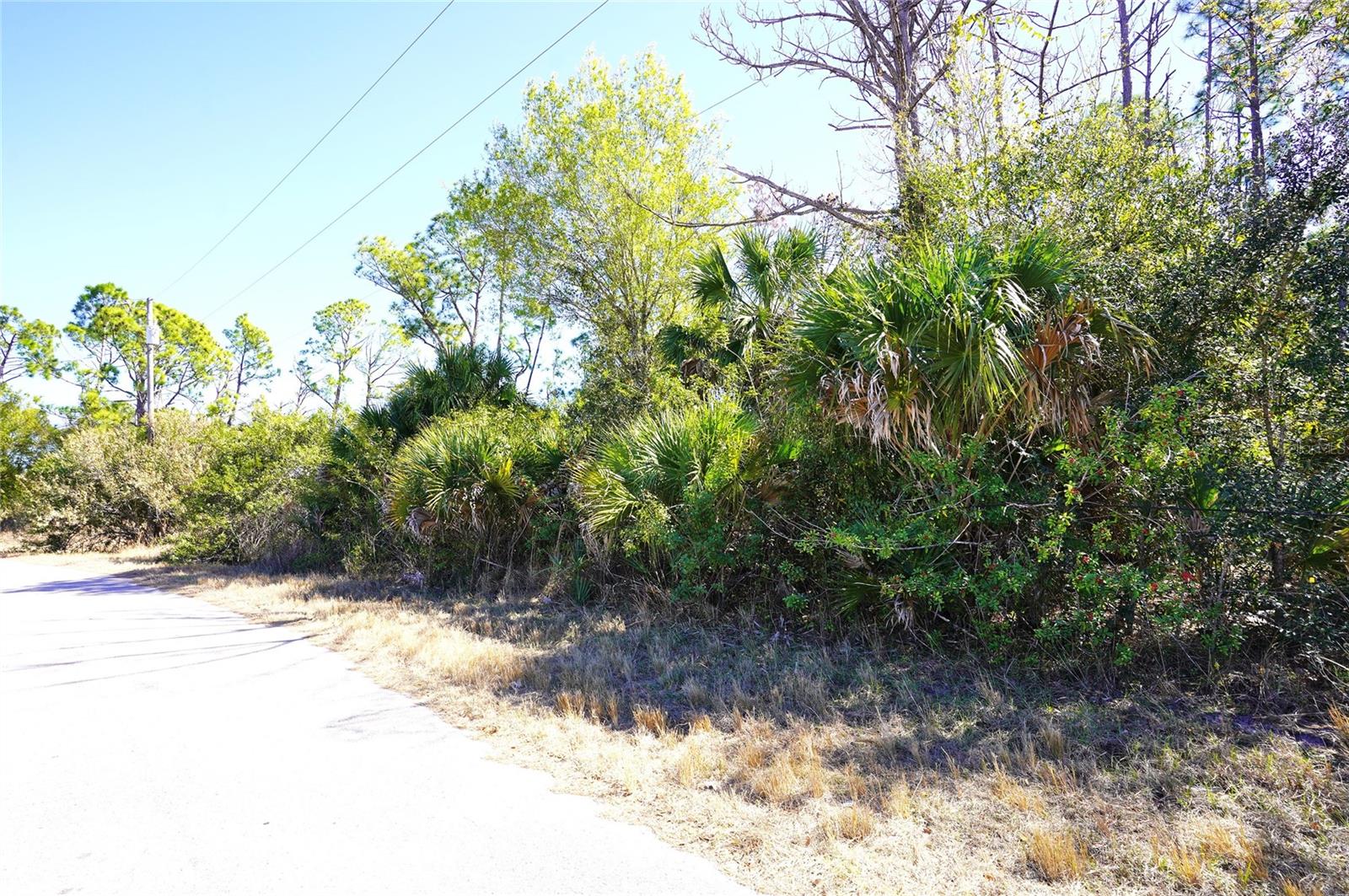 SEDBERRY AVE, NORTH PORT, FL — photo 3