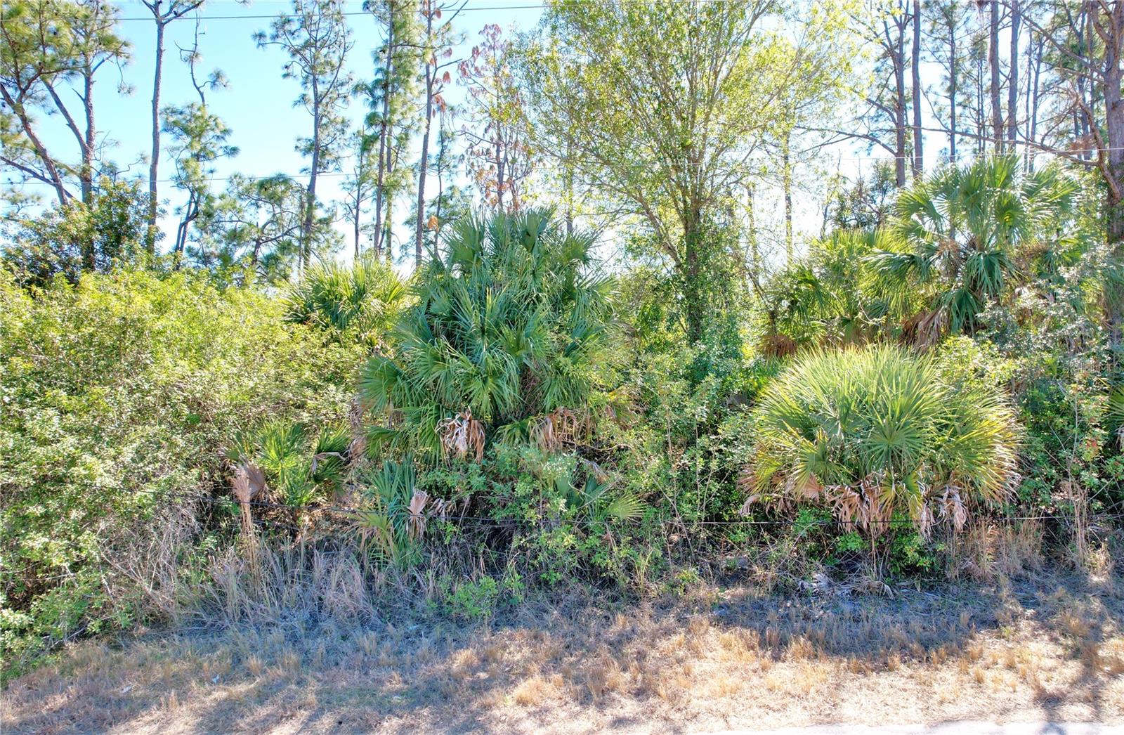 SEDBERRY AVE, NORTH PORT, FL — photo 4