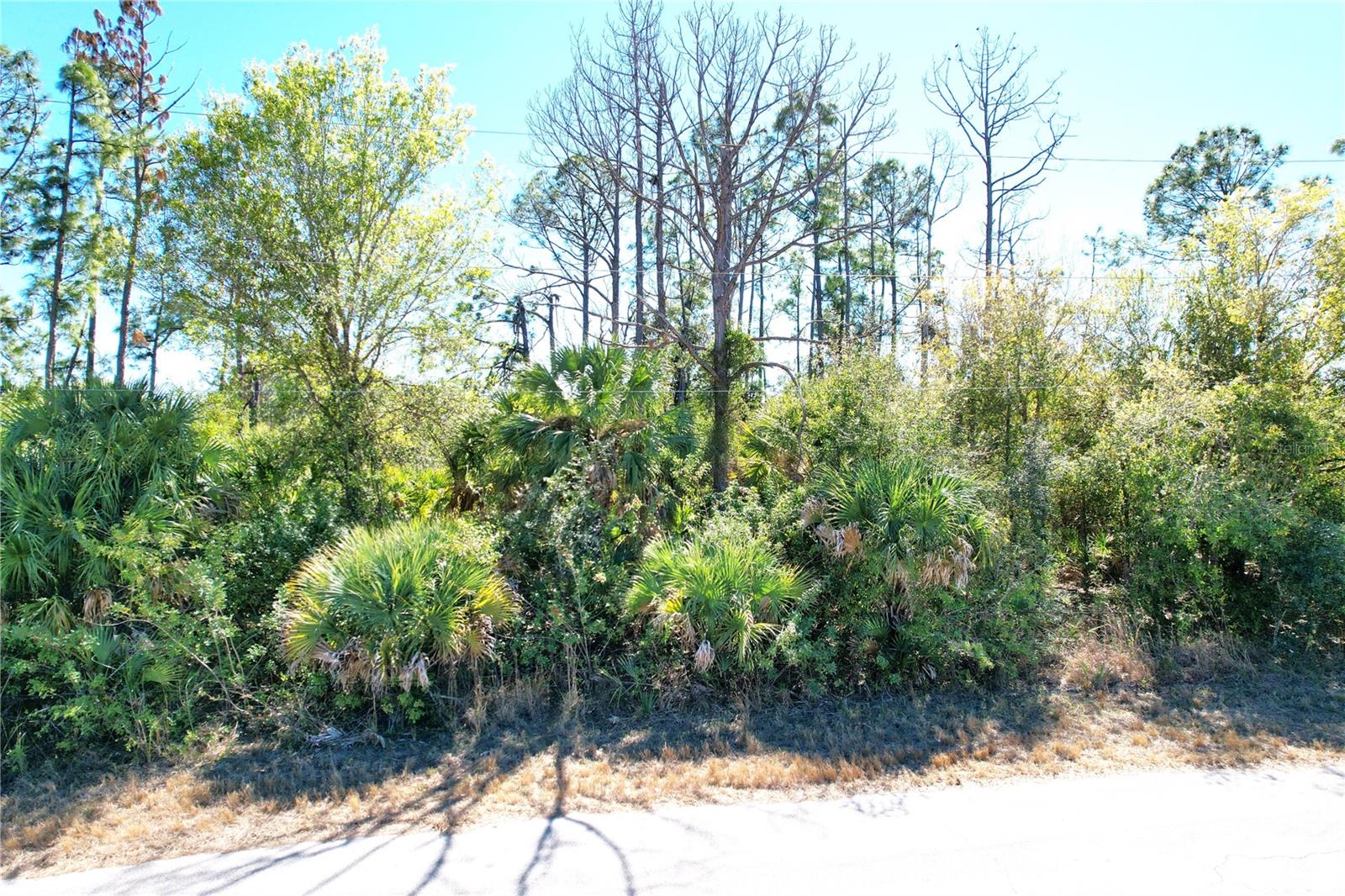 SEDBERRY AVE, NORTH PORT, FL — photo 9