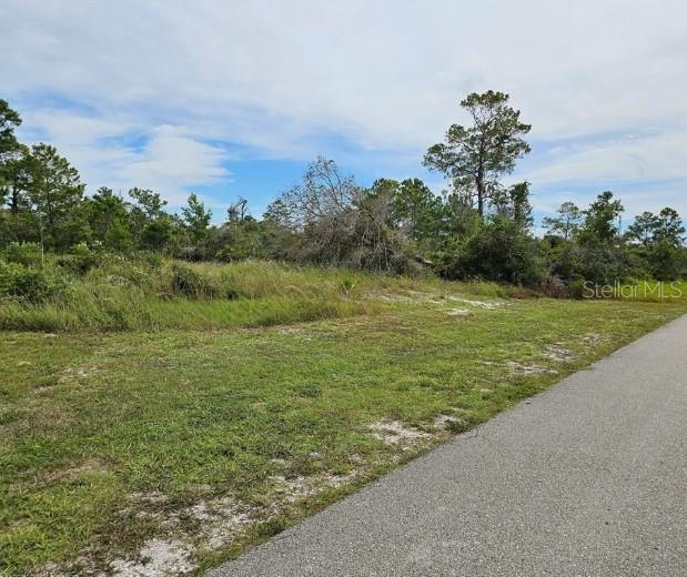 1312 COLUMBUS ST, LAKE PLACID, FL — photo 2