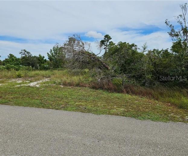1312 COLUMBUS ST, LAKE PLACID, FL — photo 3