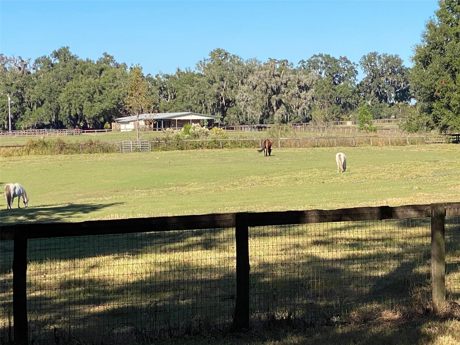 12020 N US HIGHWAY 441, OCALA, FL — photo 75