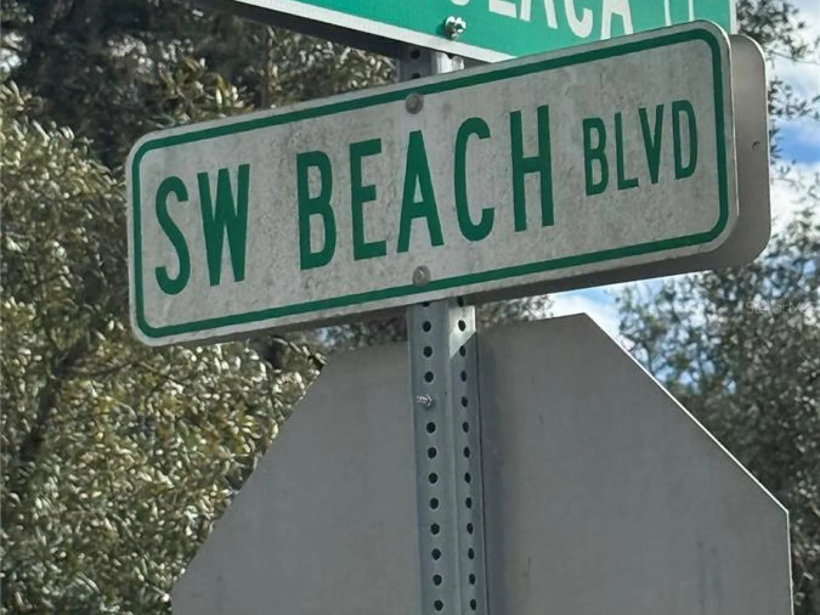 SW BEACH BLVD & SW PORTULACA CT, DUNNELLON, FL — photo 2