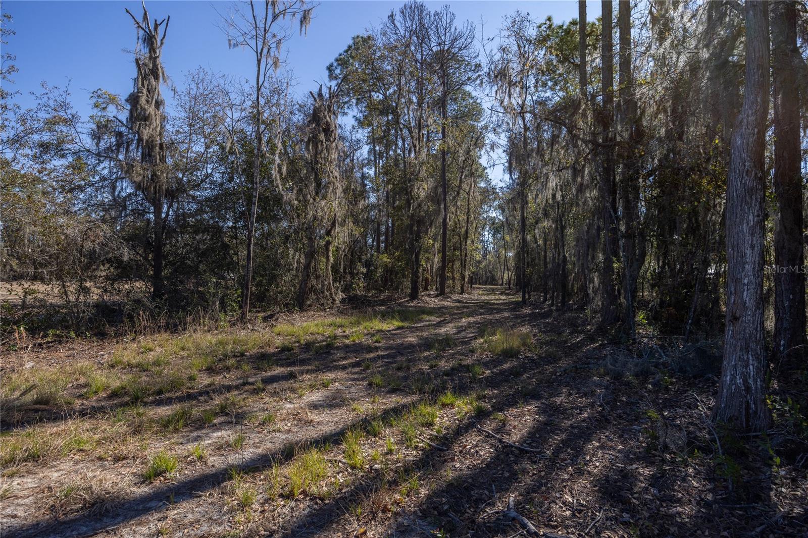 155TH WAY, STARKE, FL — photo 2