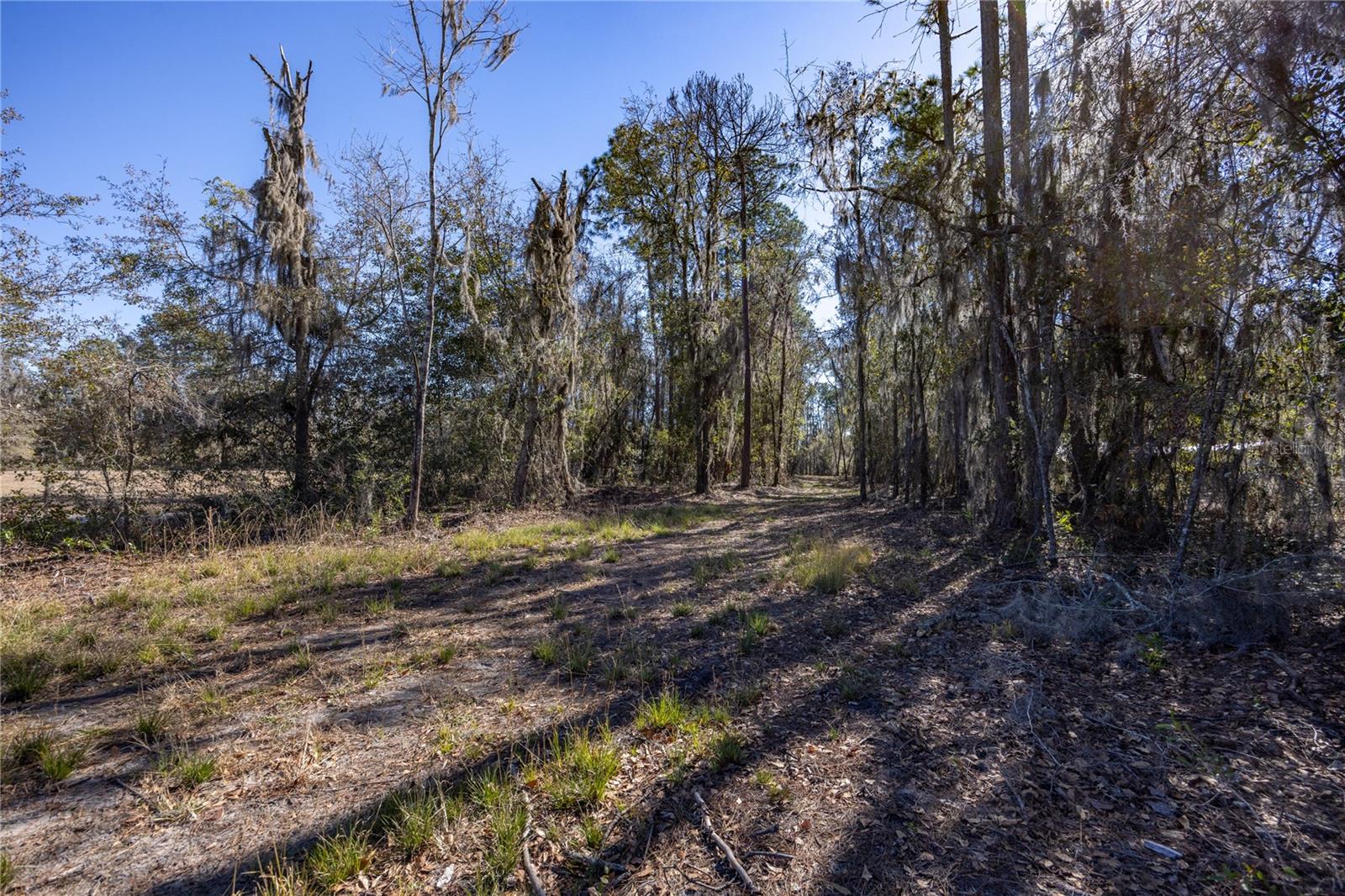 155TH WAY, STARKE, FL — photo 3