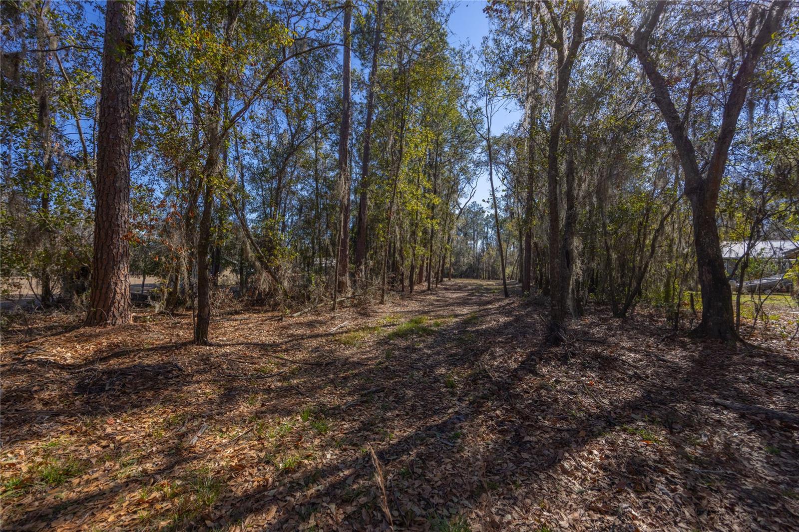 155TH WAY, STARKE, FL — photo 4
