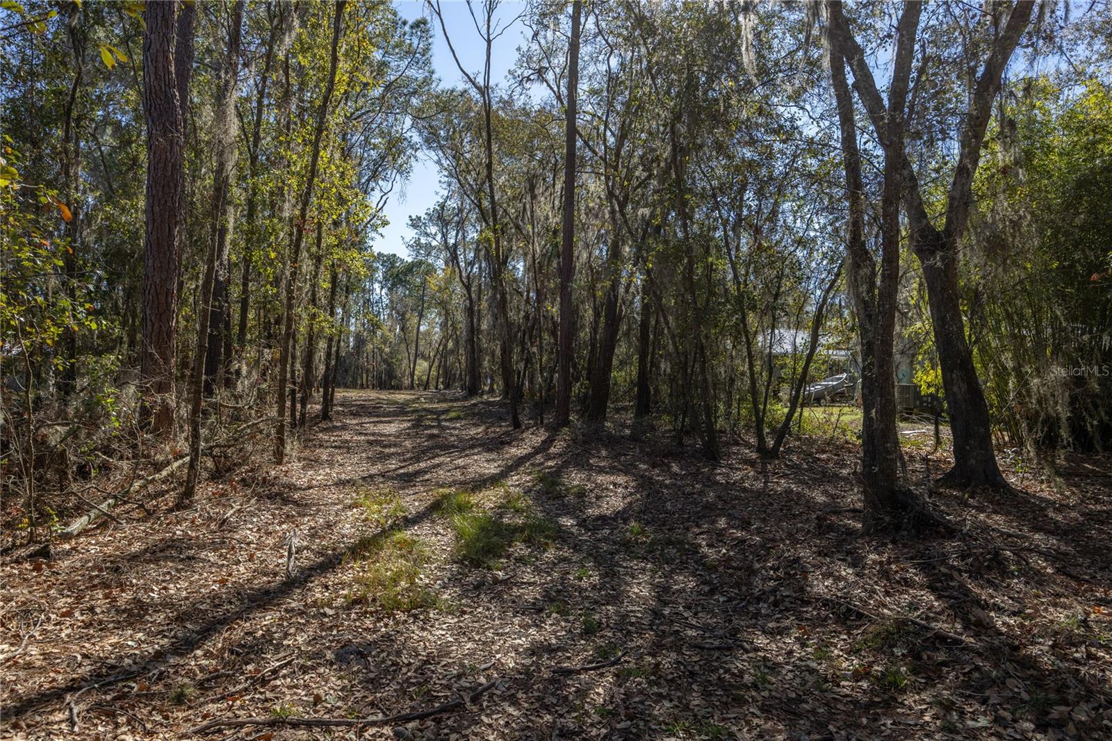 155TH WAY, STARKE, FL — photo 5