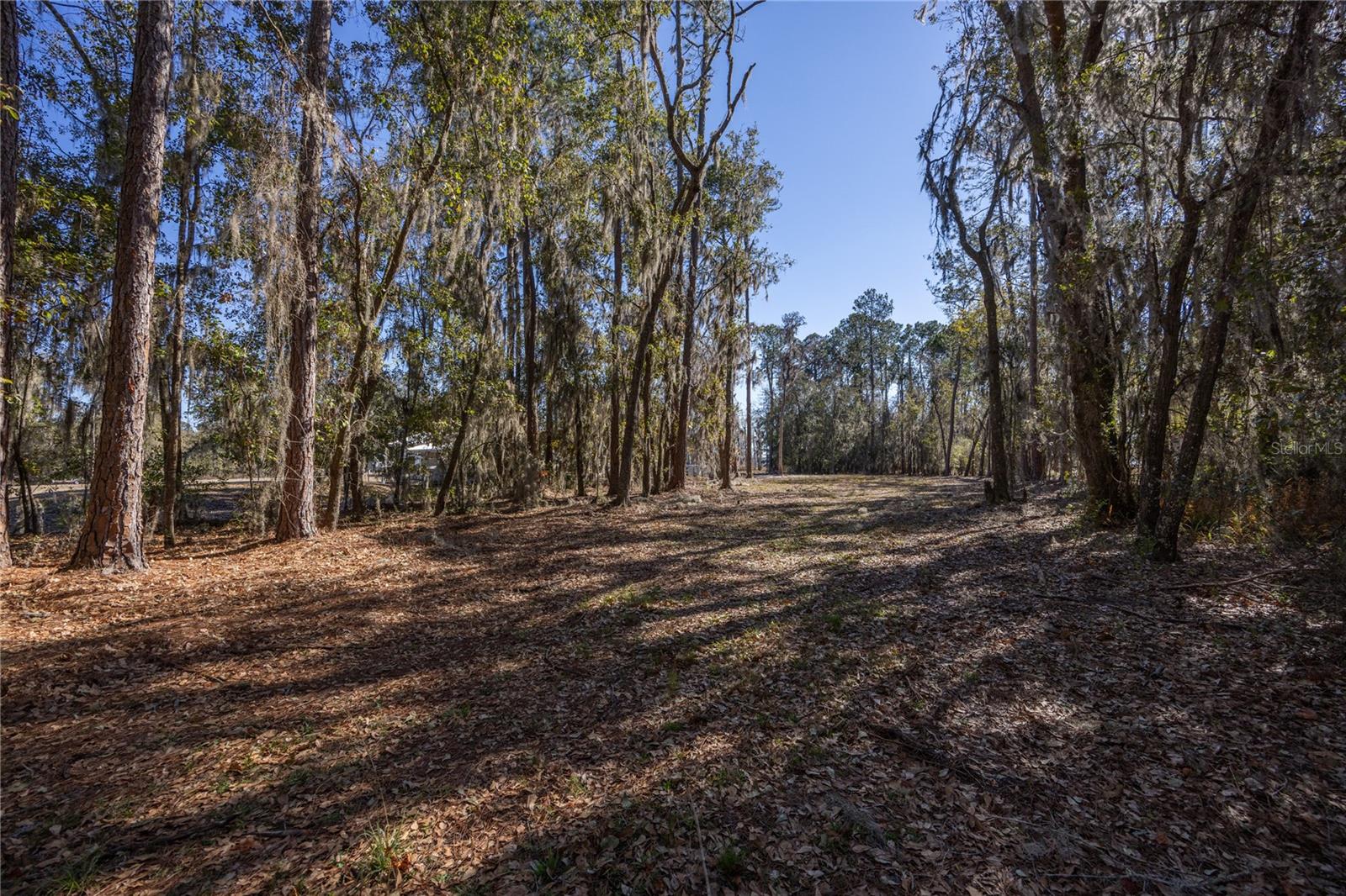 155TH WAY, STARKE, FL — photo 6