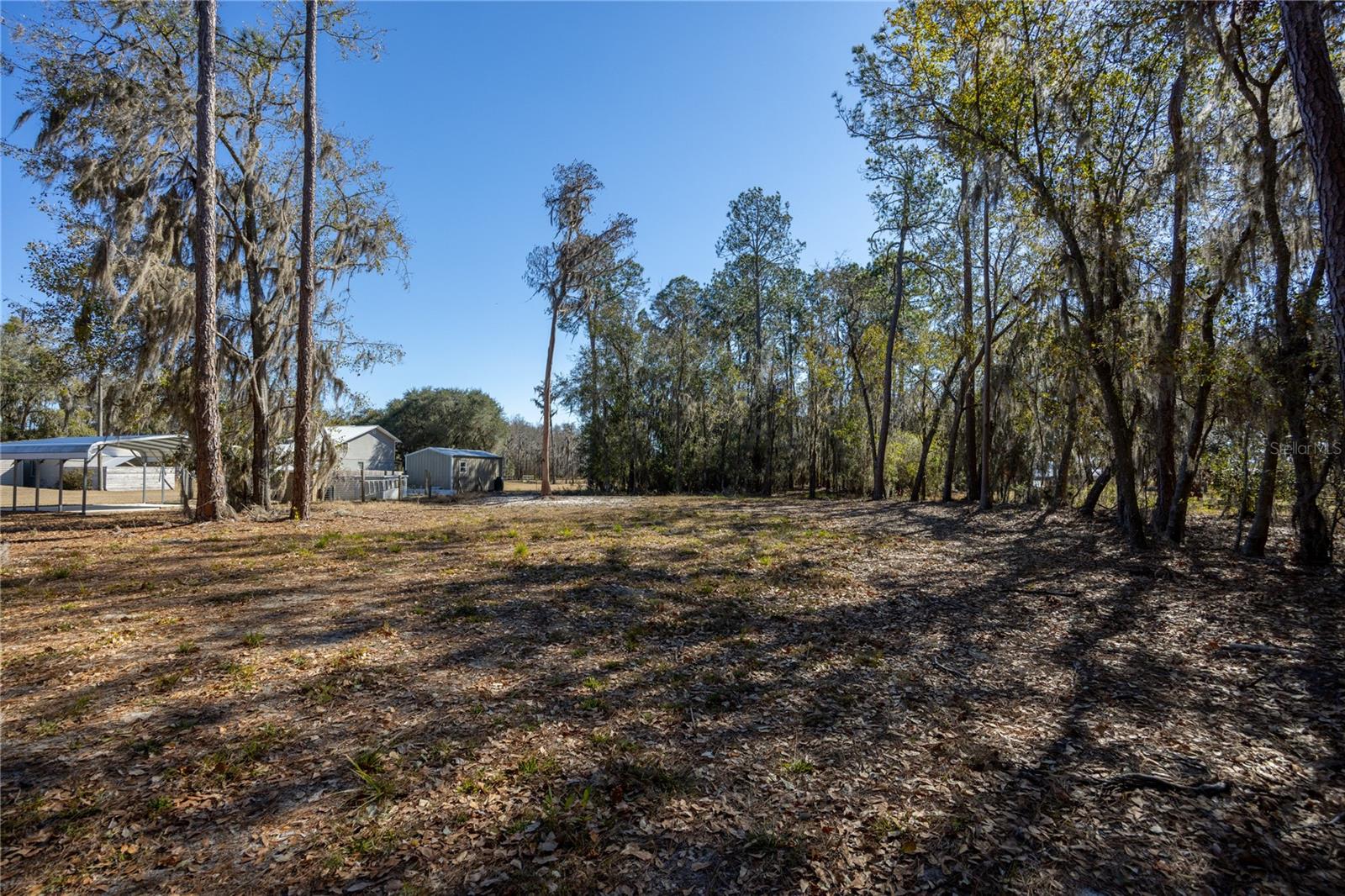 155TH WAY, STARKE, FL — photo 7