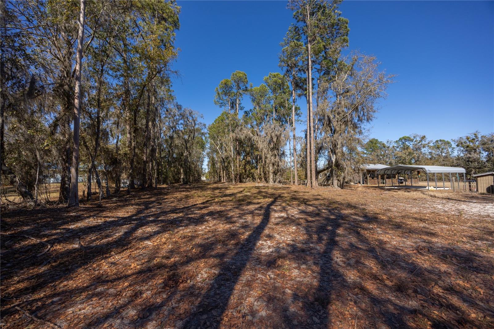 155TH WAY, STARKE, FL — photo 8