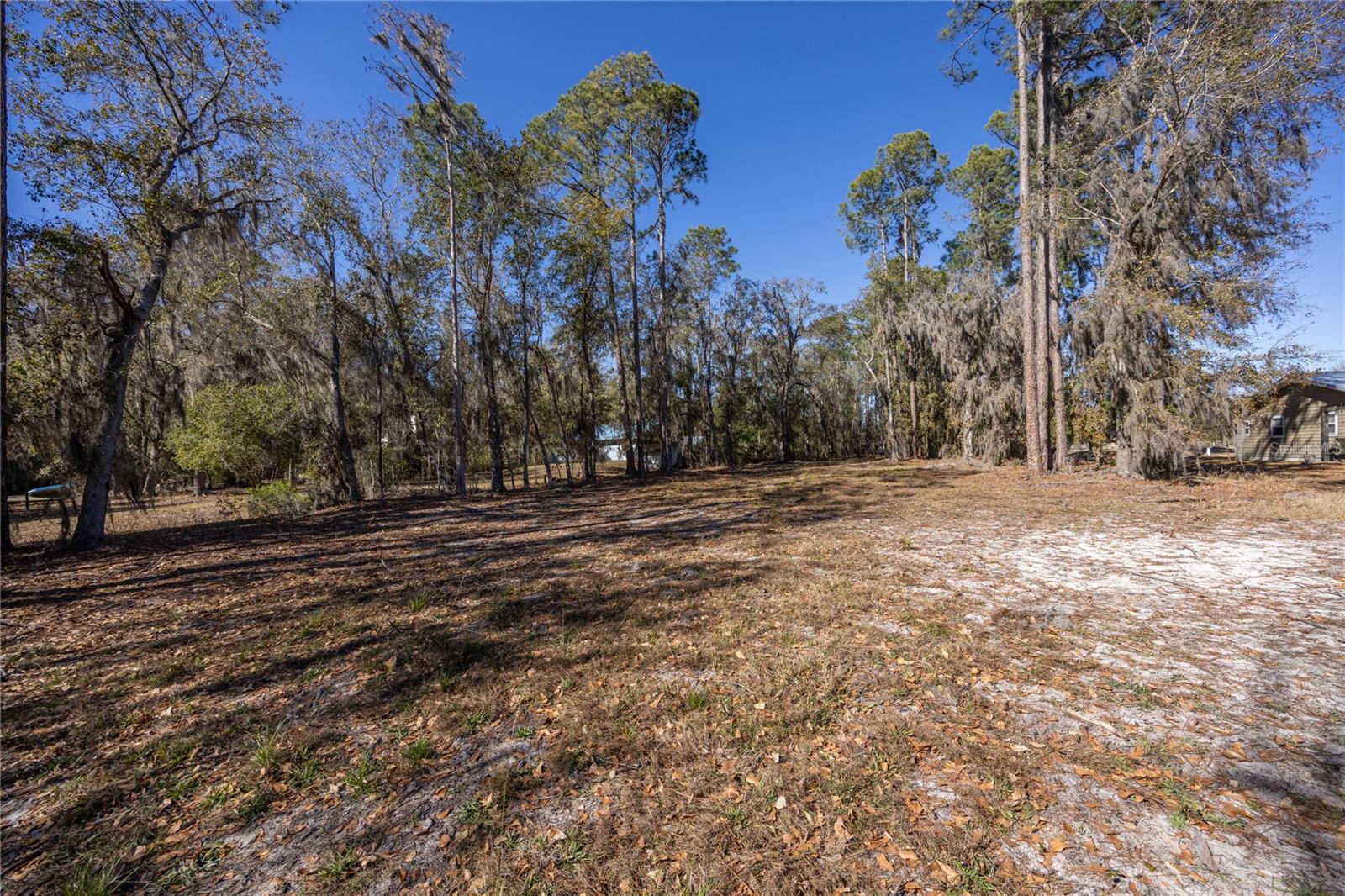 155TH WAY, STARKE, FL — photo 9