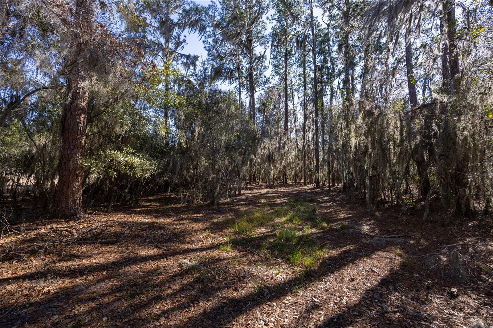 155TH WAY, STARKE, FL — photo 10
