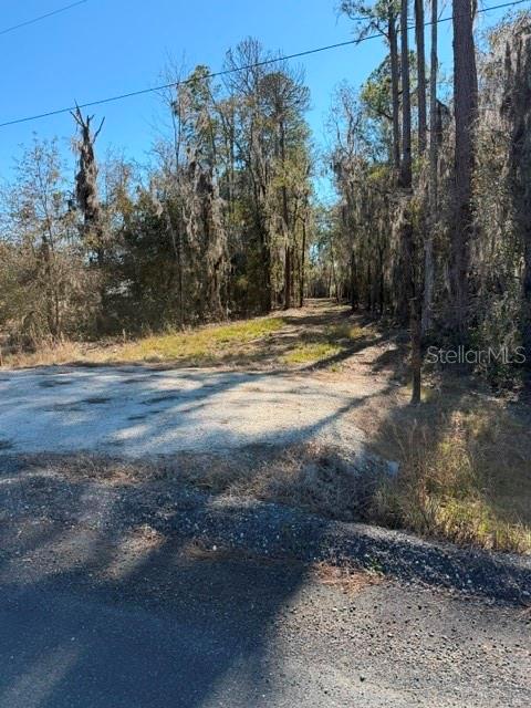 155TH WAY, STARKE, FL — photo 19